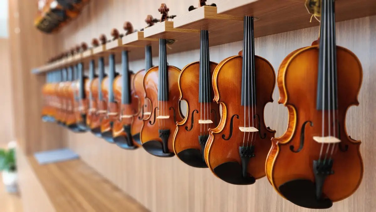 Teaching and demonstration spaces arranged around the instruments.