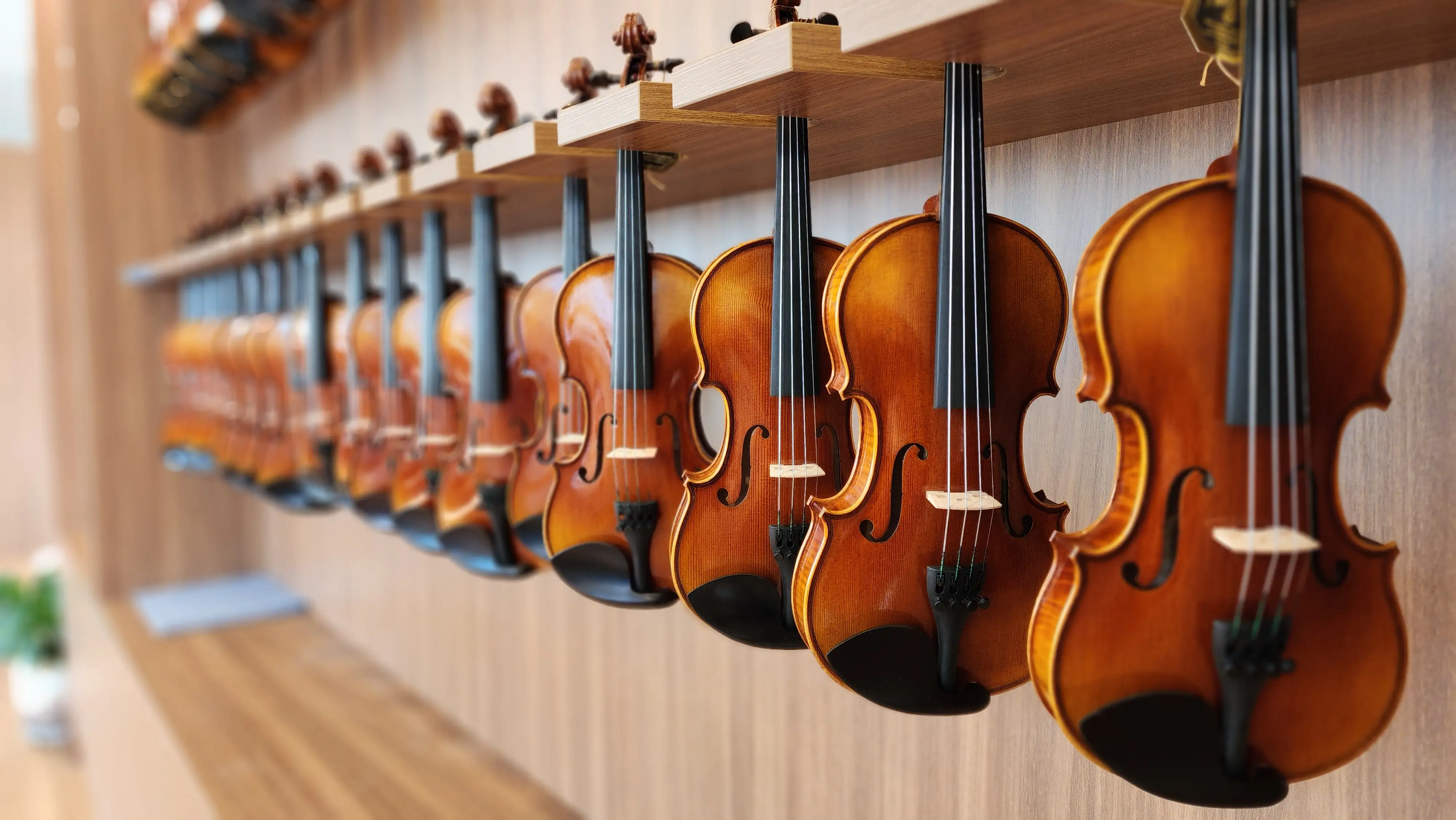 Teaching and demonstration spaces arranged around the instruments.