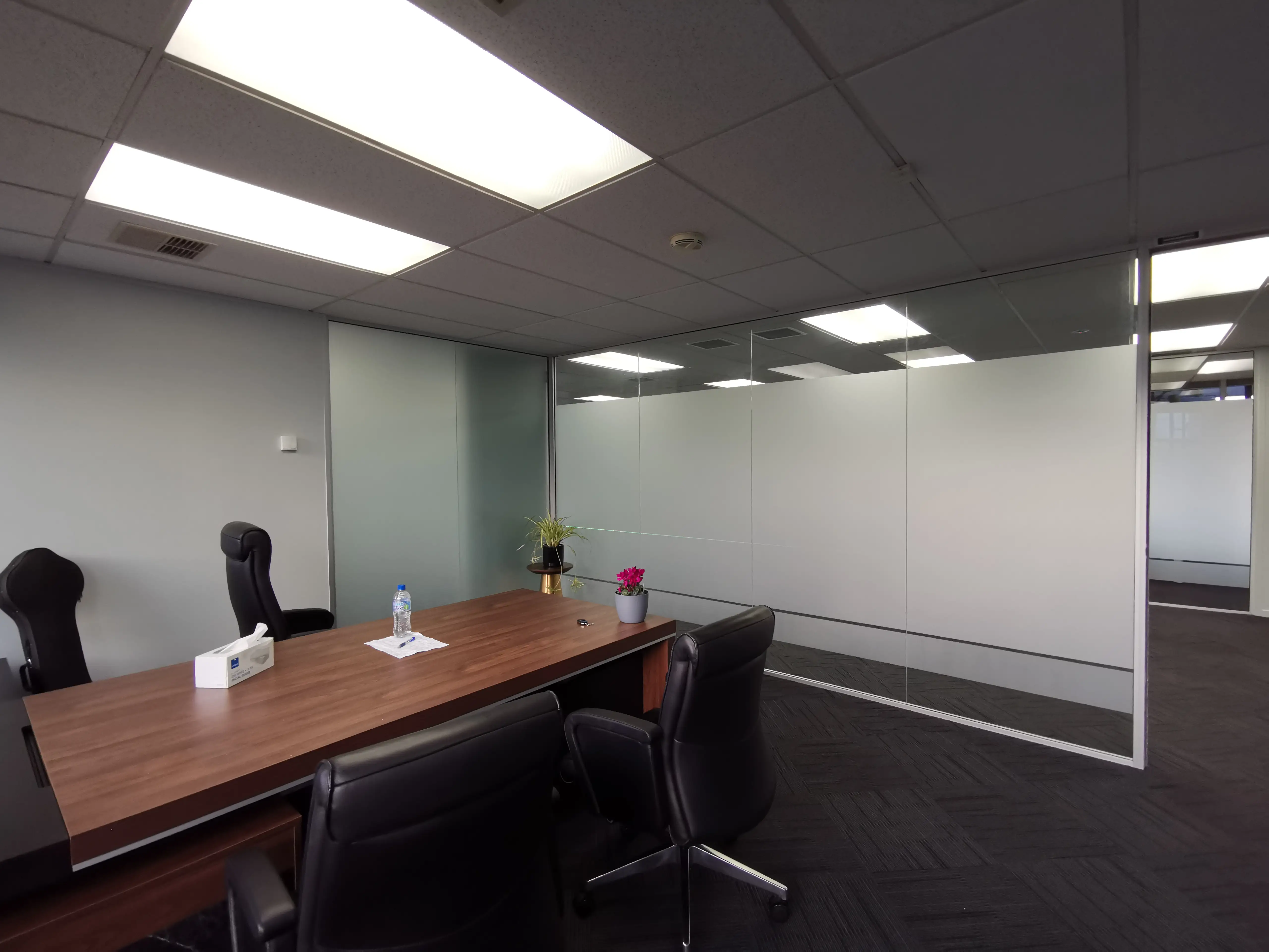 Graphic wall treatment within the completed workplace.